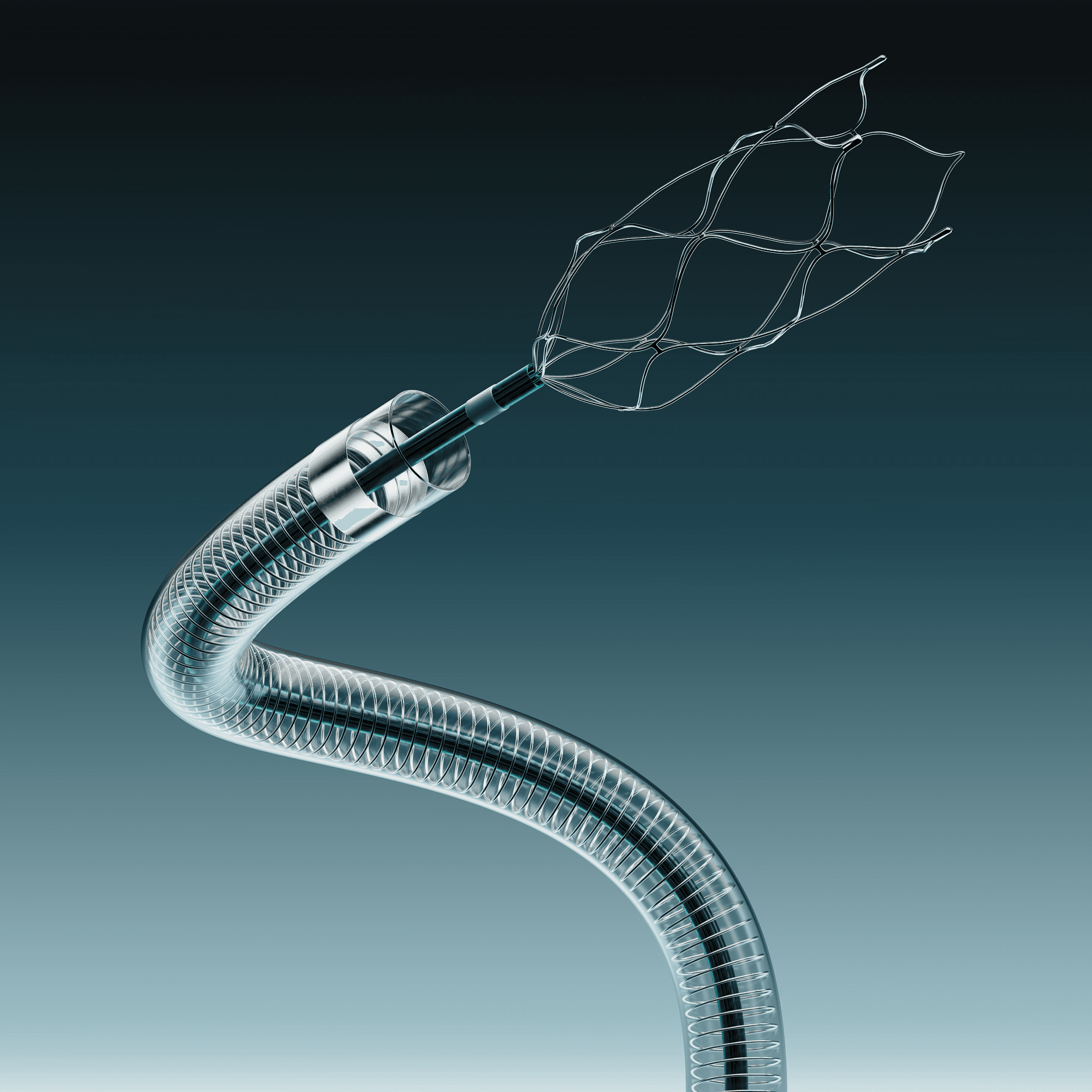 Interventional Neurovascular